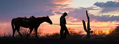 Flying E Ranch Sunset Cowboy
