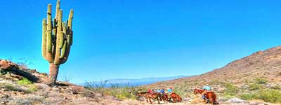 Stagecoach Trails Ranch Riding